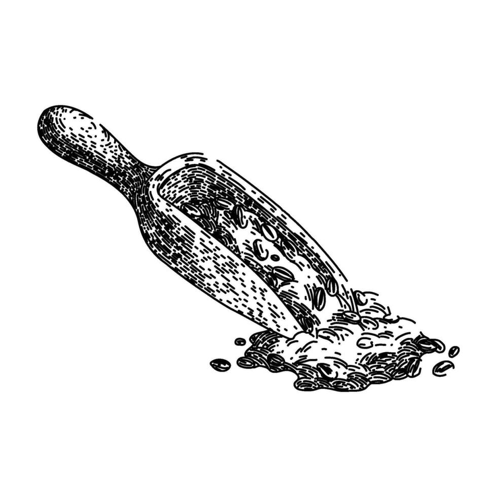 oatmeal oat spoon sketch hand drawn vector