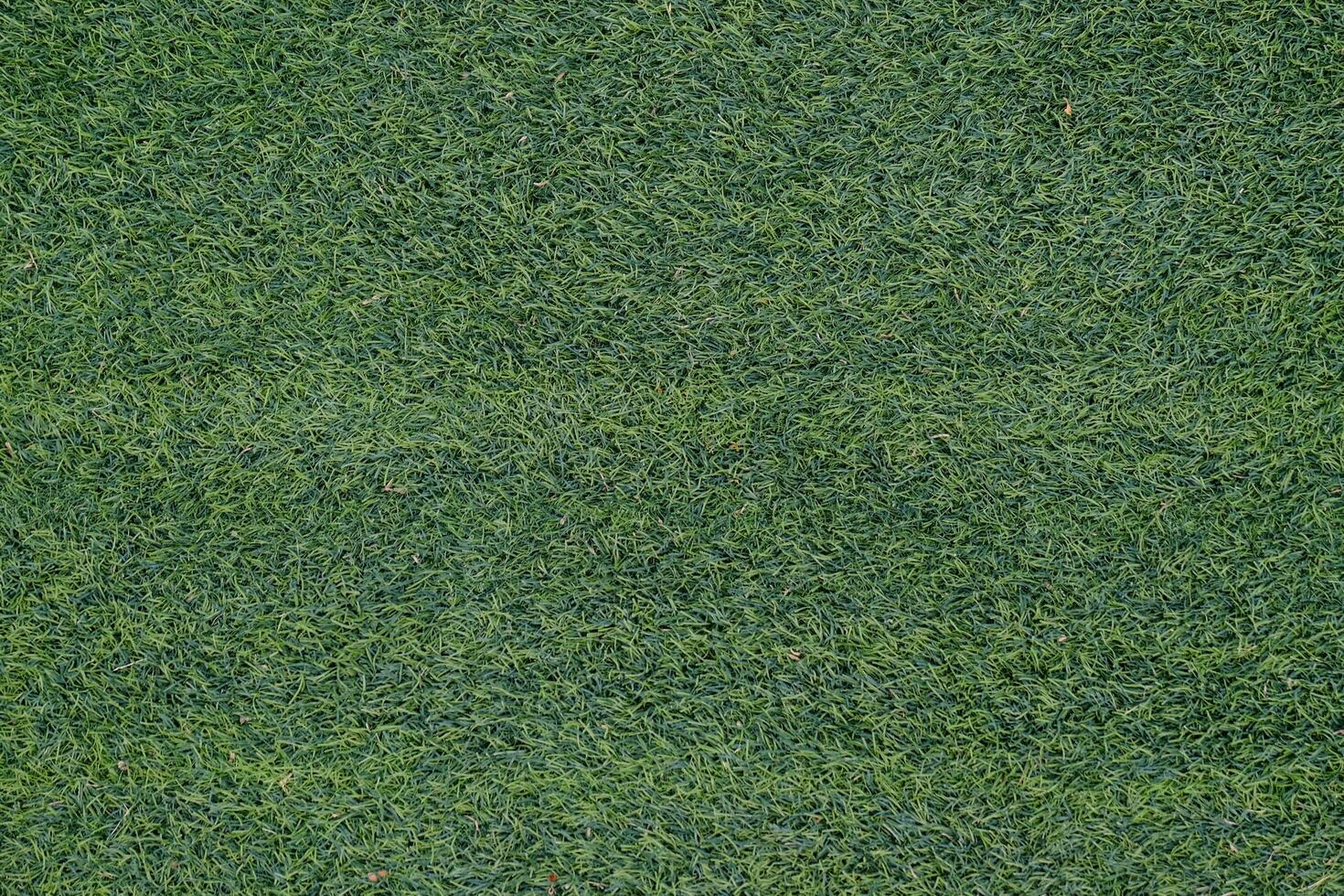 artificial grass in the children's playground photo
