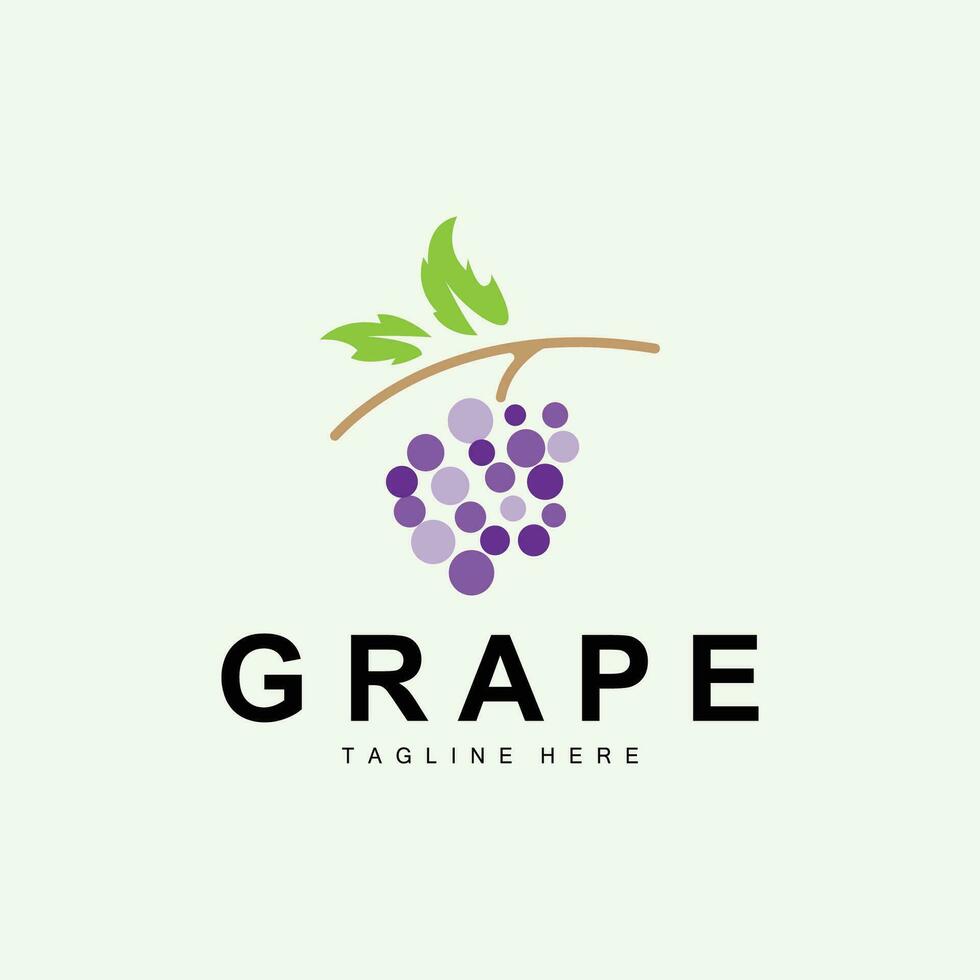 Grape Logo, Garden Vector, Fresh Purple Fruit, Wine Brand Design, Simple Illustration Template vector