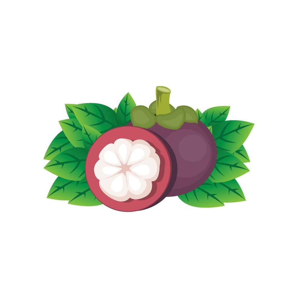Mangosteen Logo, Health Fruit Design, Garden Farmer Vector, Symbol Element Template vector