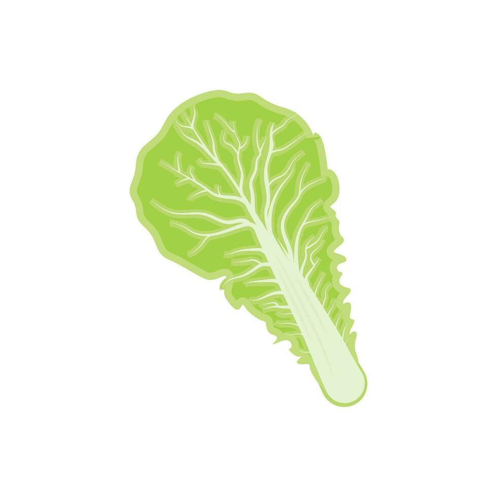 diseño del logotipo de kimchi, vector de comida tradicional coreana, ilustración del logotipo de verduras verdes de repollo, icono de la marca de la empresa