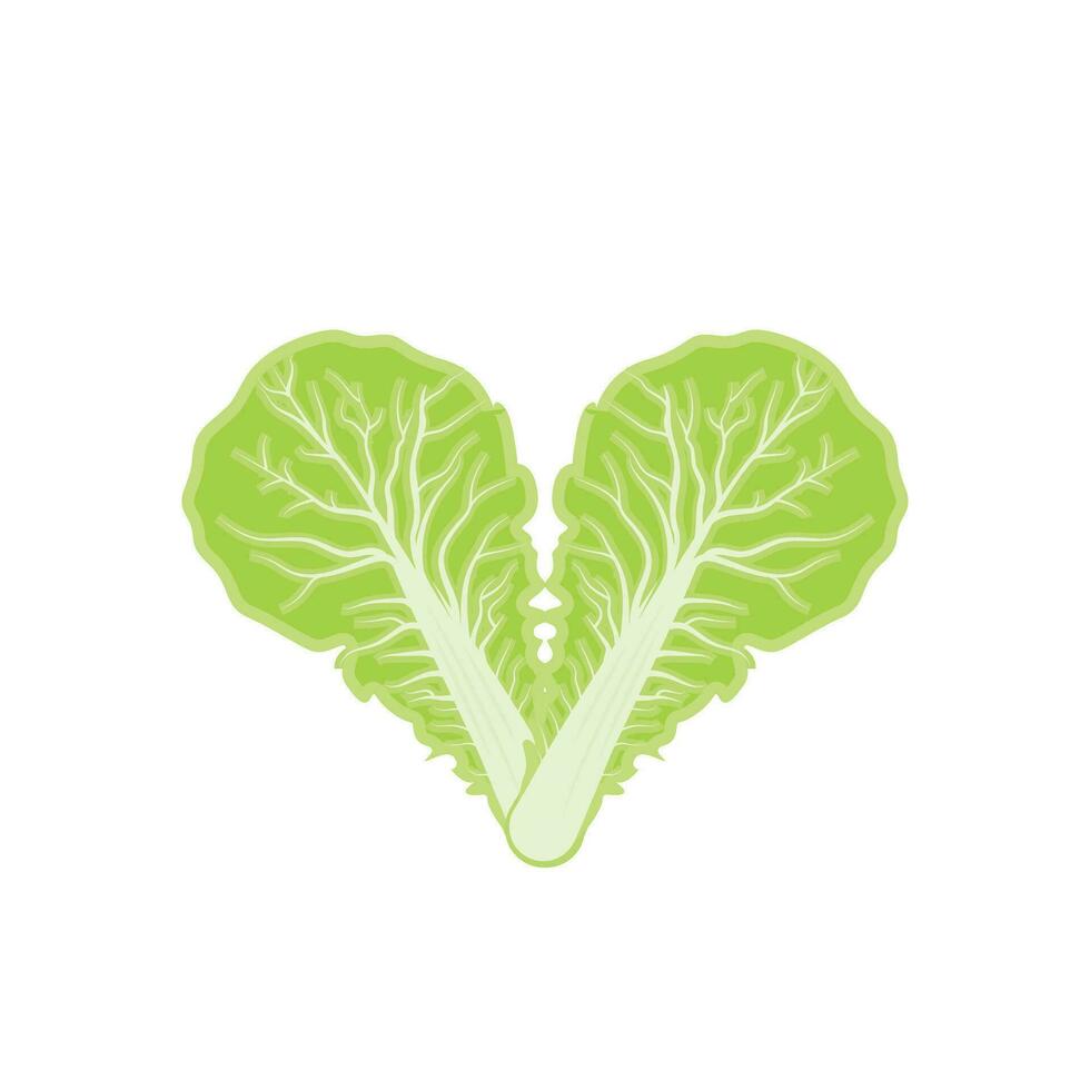 Kimchi Logo Design, Korean Traditional Food Vector, Cabbage Green Vegetable Logo Illustration, Company Brand Icon vector