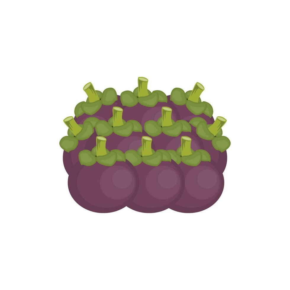 Mangosteen Logo, Health Fruit Design, Garden Farmer Vector, Symbol Element Template vector