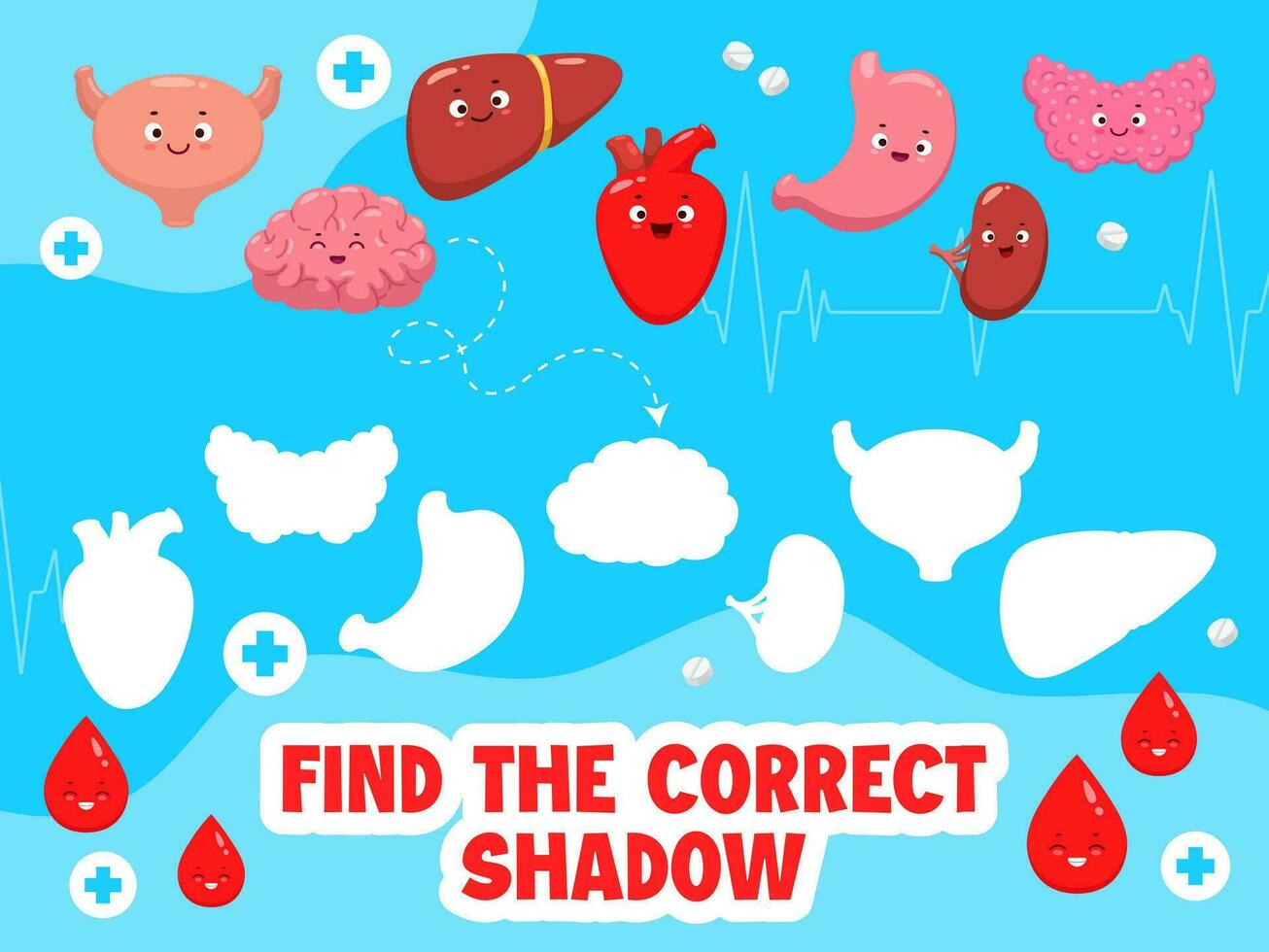 Find the correct shadow of body organ characters vector