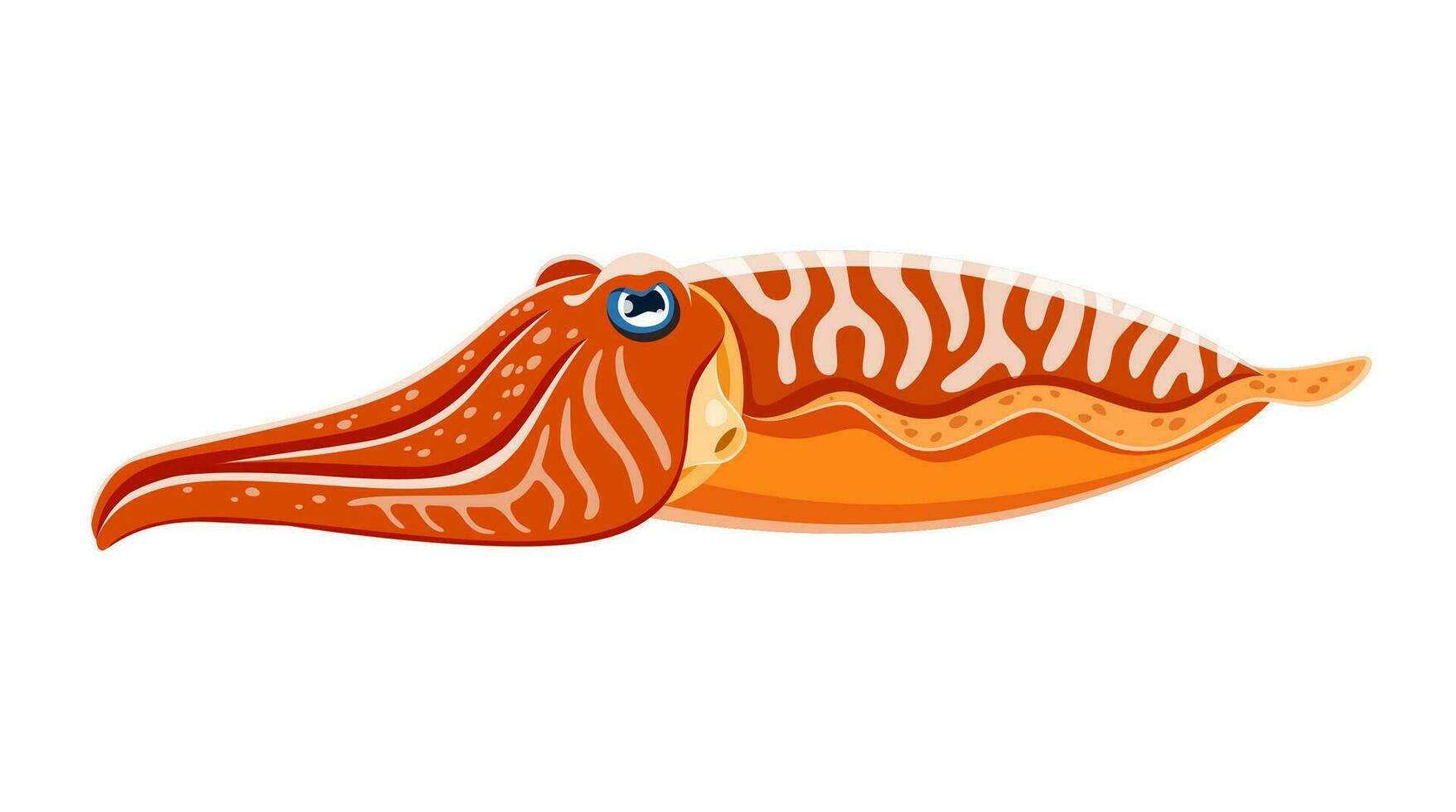 Cartoon cuttlefish isolated vector sea animal