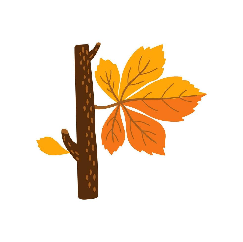 Letter P autumn font cartoon tree branch with leaf vector