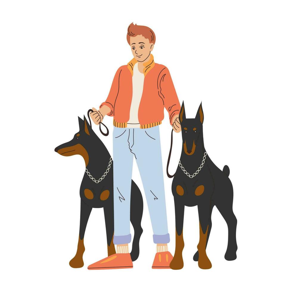 Man with two large dogs on a leash. Dobermans with their owner. Cartoon style. Vector illustration isolated on white.