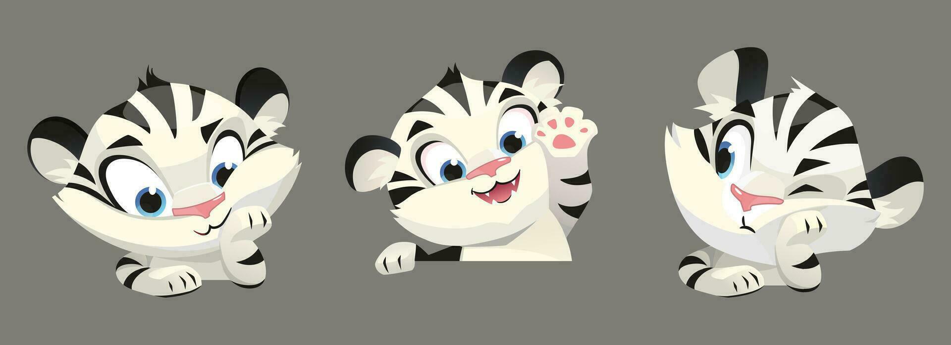 Cartoon set of white tiger cubs on grey background vector