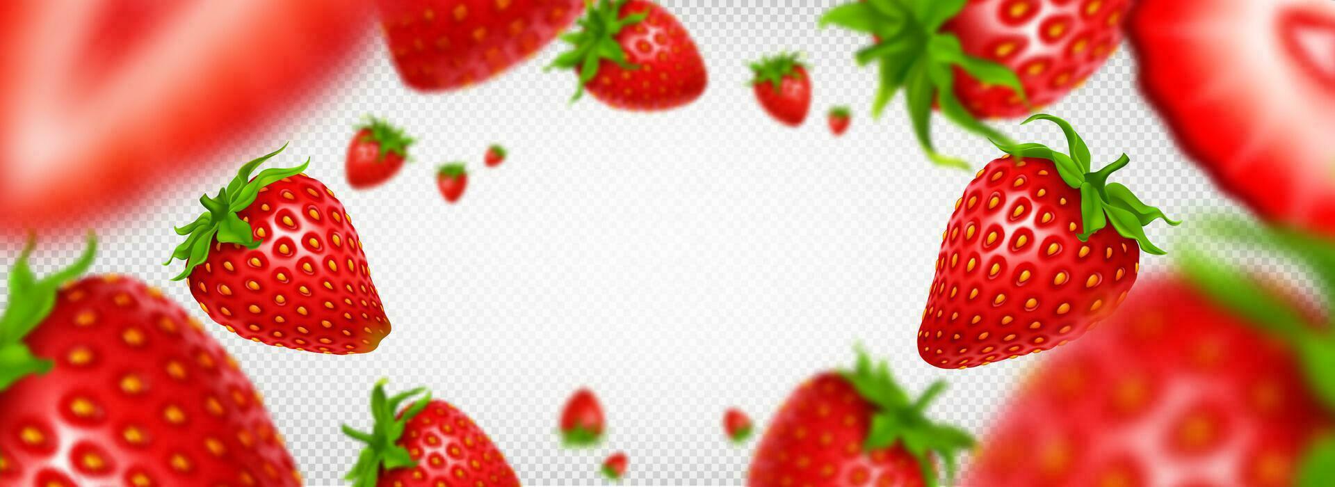 3d isolated realistic strawberry fruit slice frame vector