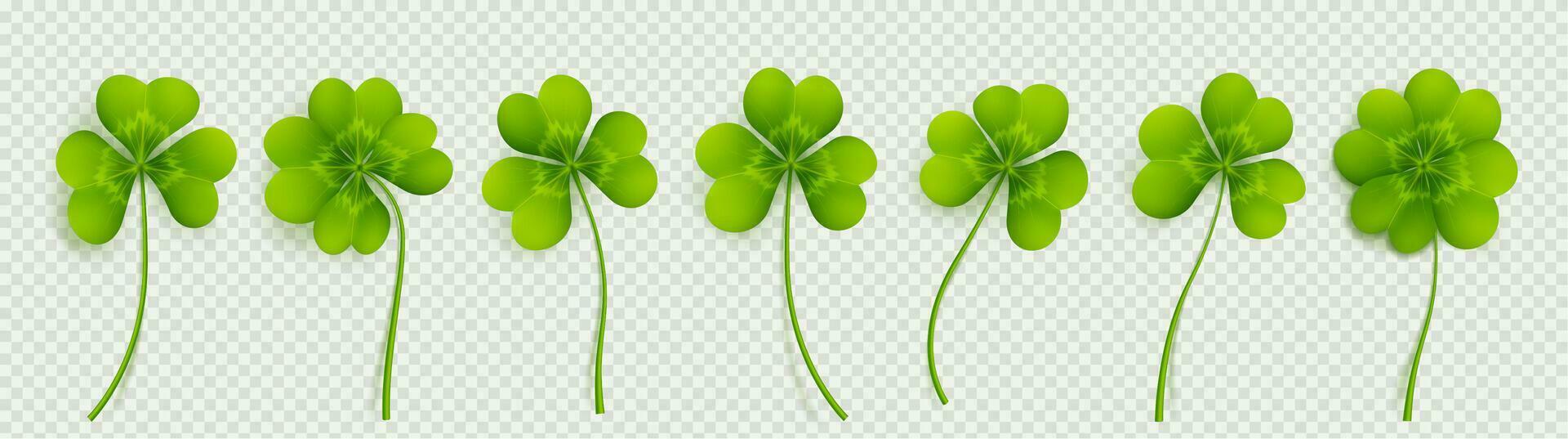 Realistic 3D clover leaves set vector