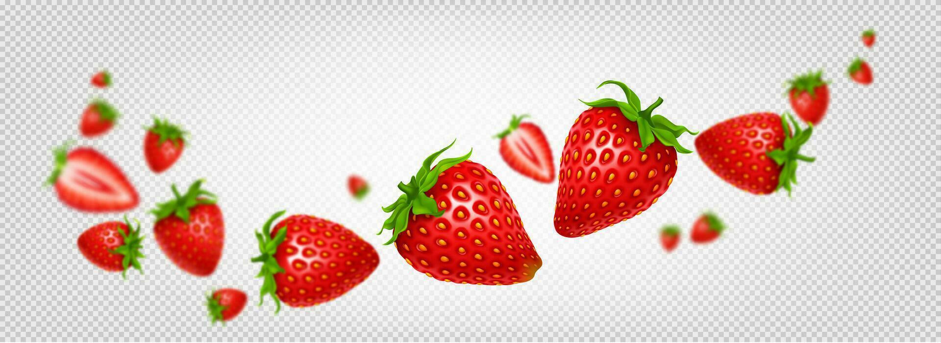 3d isolated vector strawberry fruit slice wave