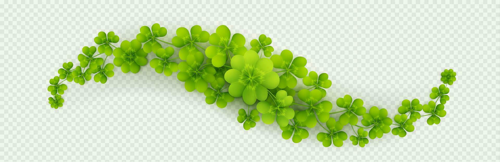 Lucky four leaf clover, green shamrock leaves vector