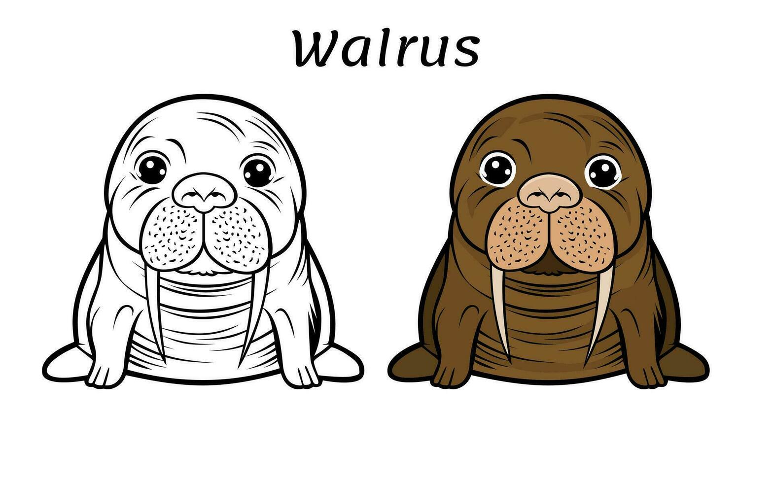 Cute Walrus Animal Coloring Book Illustration vector