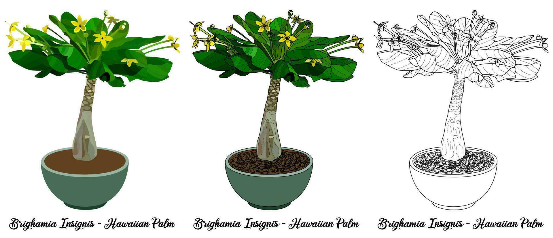 House Plant Coloring Book Hand Drawn Illustration vector