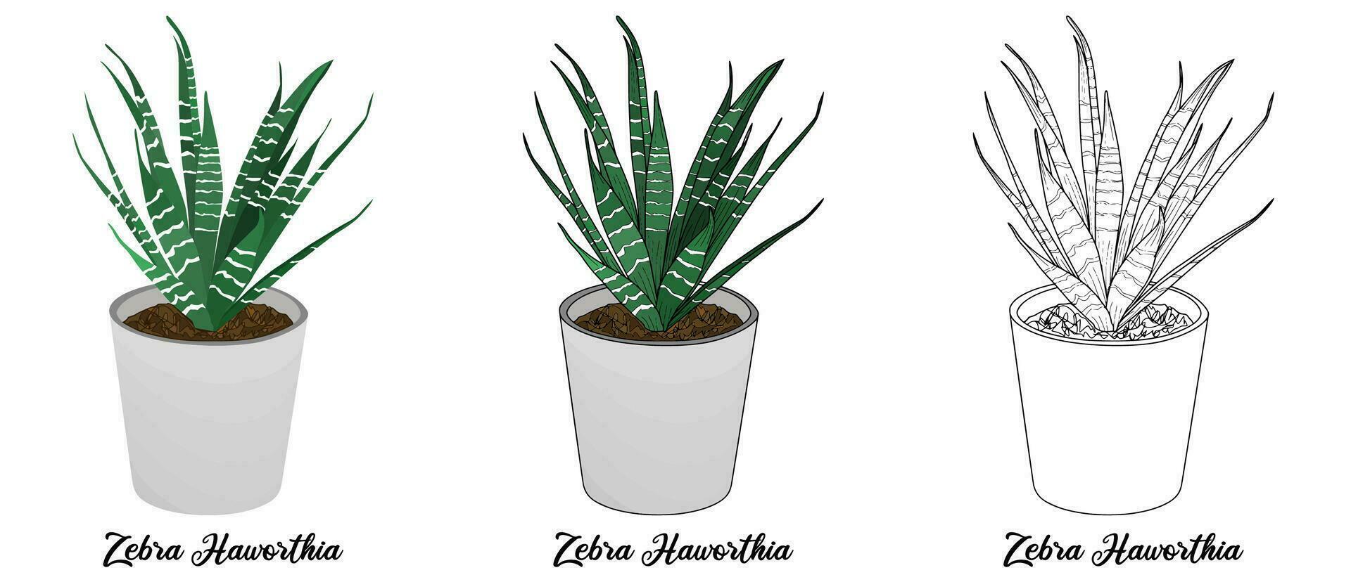 House Plant Coloring Book Hand Drawn Illustration vector