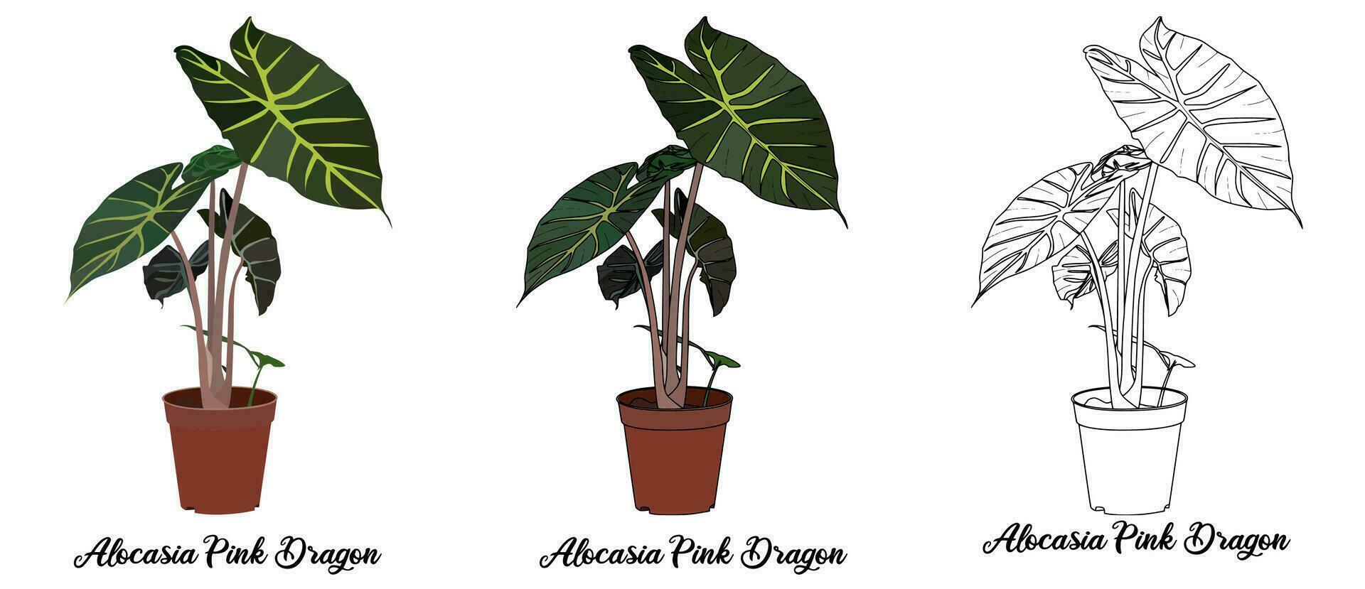 House Plant Coloring Book Hand Drawn Illustration vector