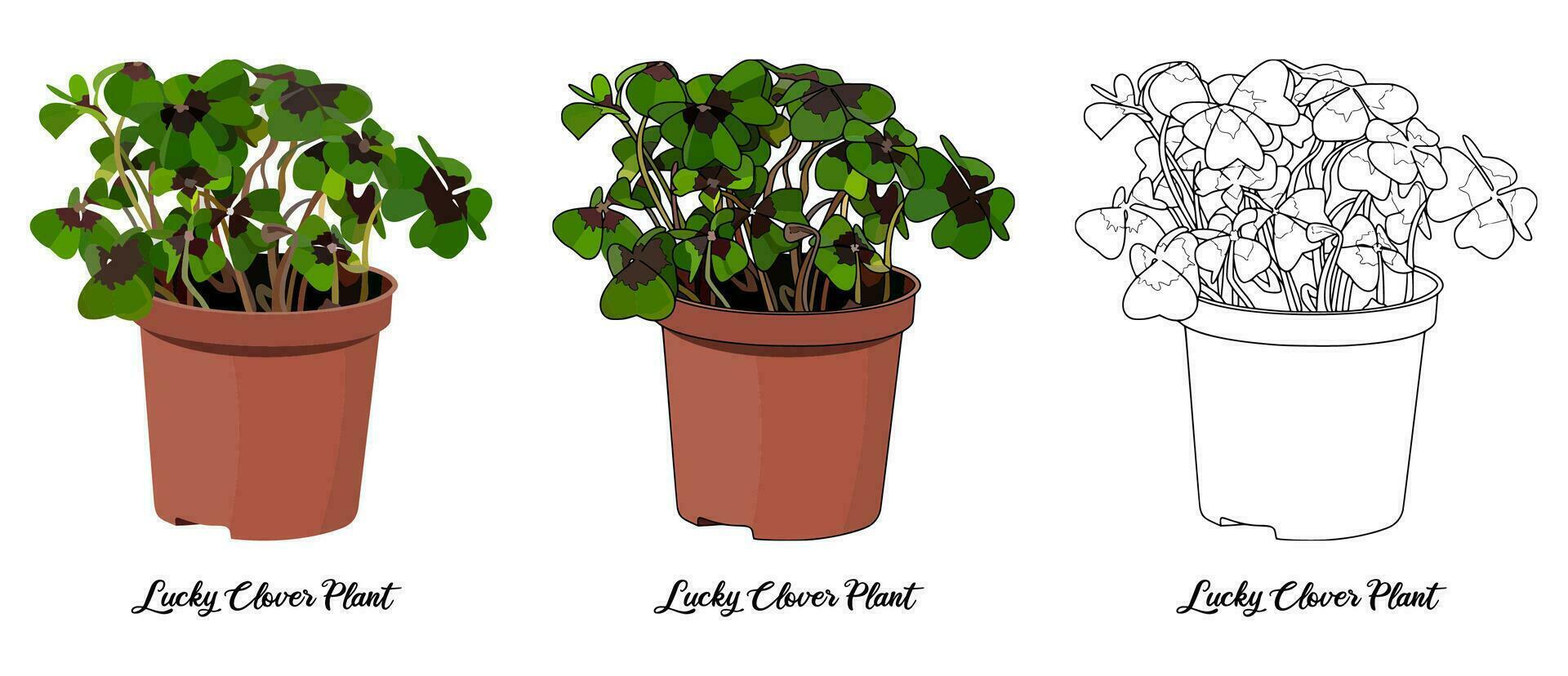 House Plant Coloring Book Hand Drawn Illustration vector