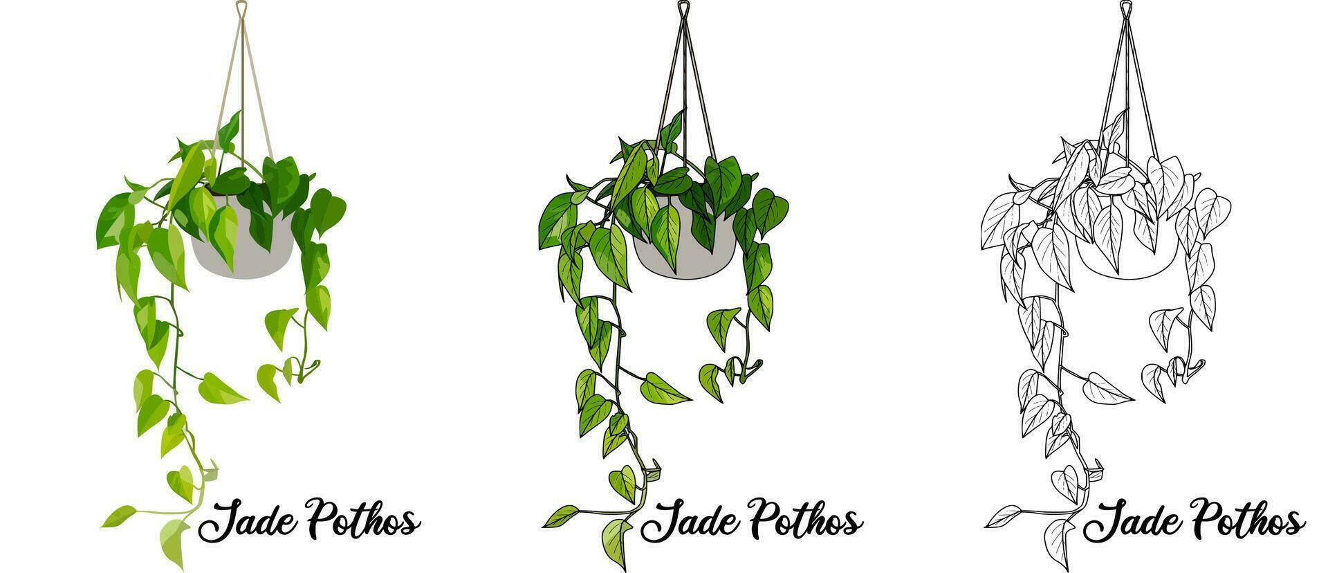 House Plant Coloring Book Hand Drawn Illustration vector