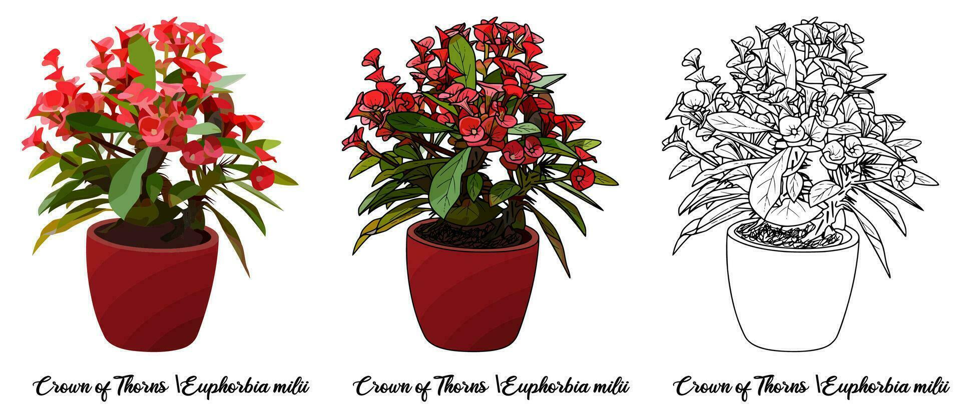 House Plant Coloring Book Hand Drawn Illustration vector