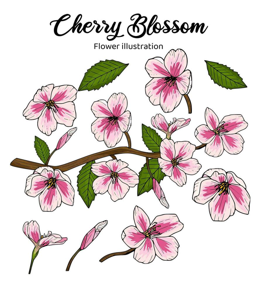 Flowers Coloring Book Hand Drawn Illustration vector