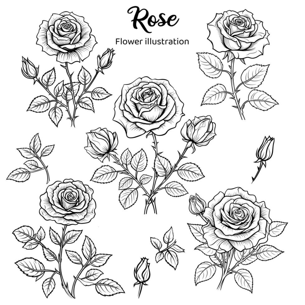 Flowers Coloring Book Hand Drawn Illustration vector