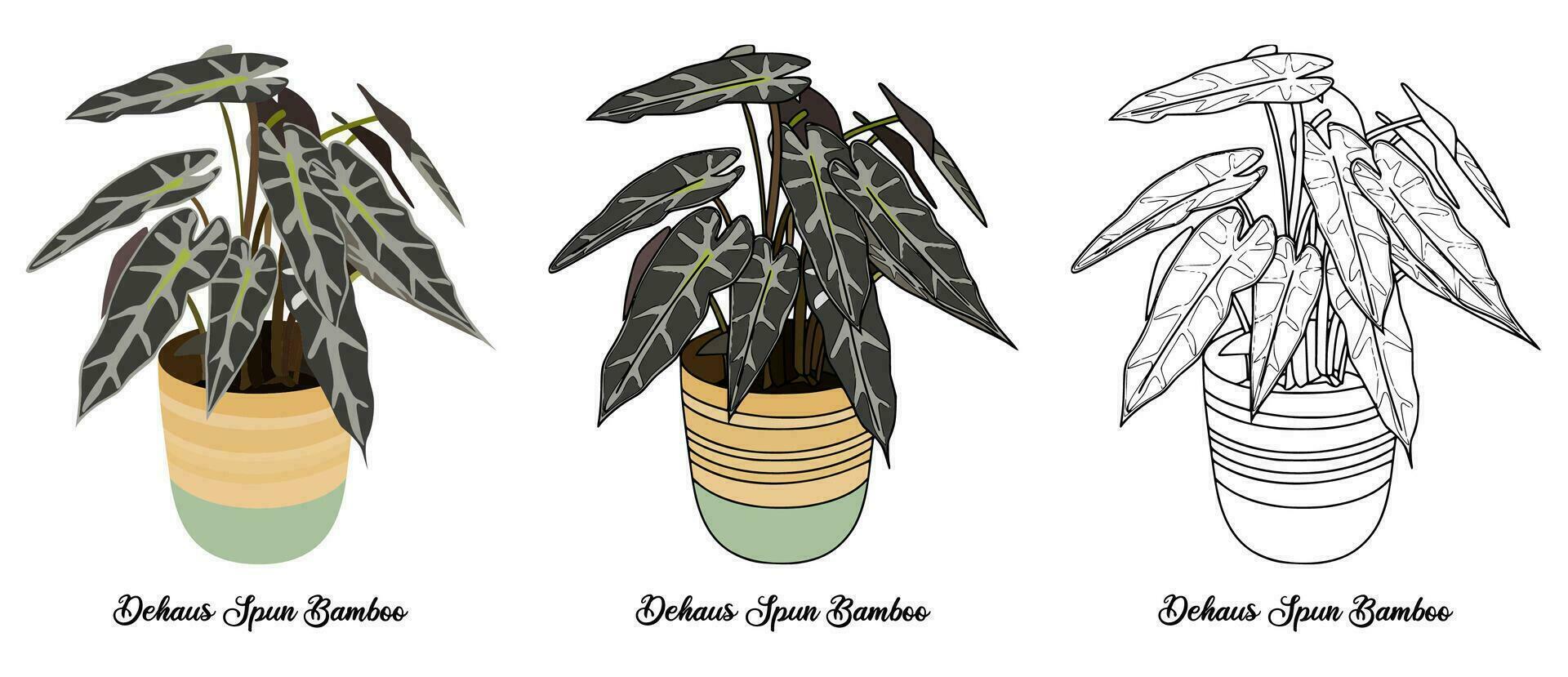 House Plant Coloring Book Hand Drawn Illustration vector
