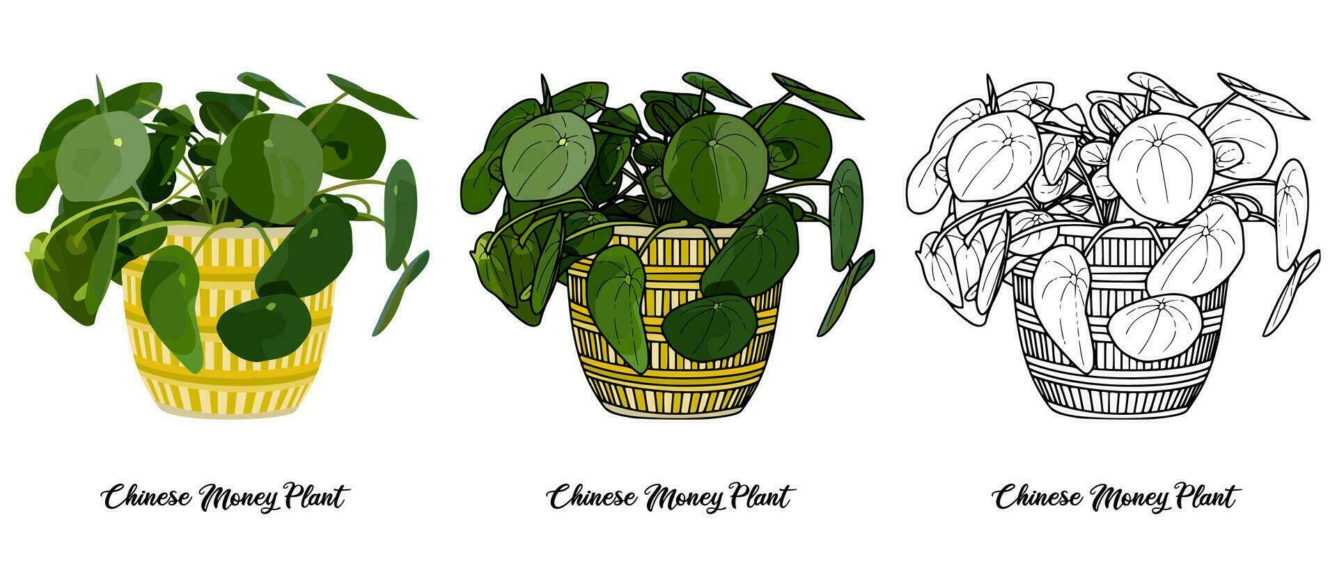 House plant coloring book hand drawn illustration vector