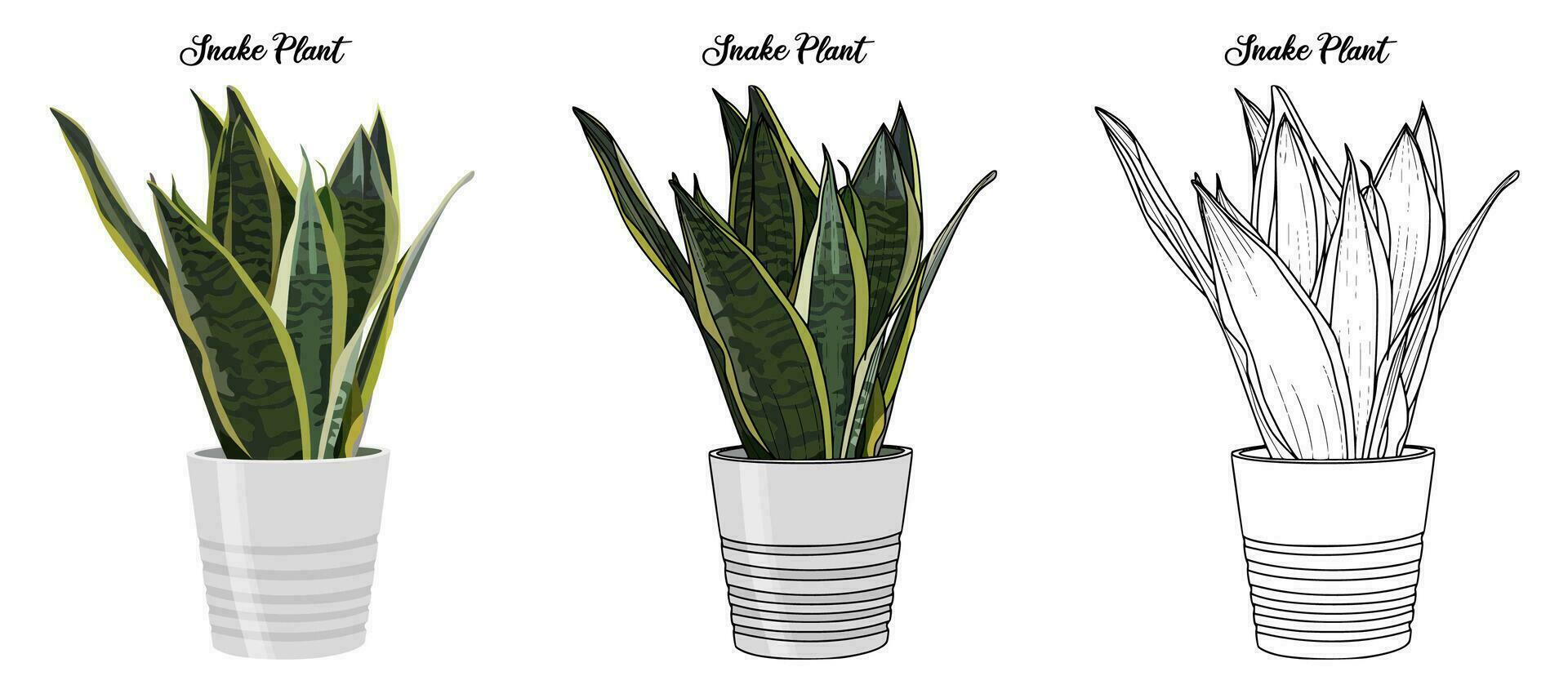 House plant coloring book hand drawn illustration vector