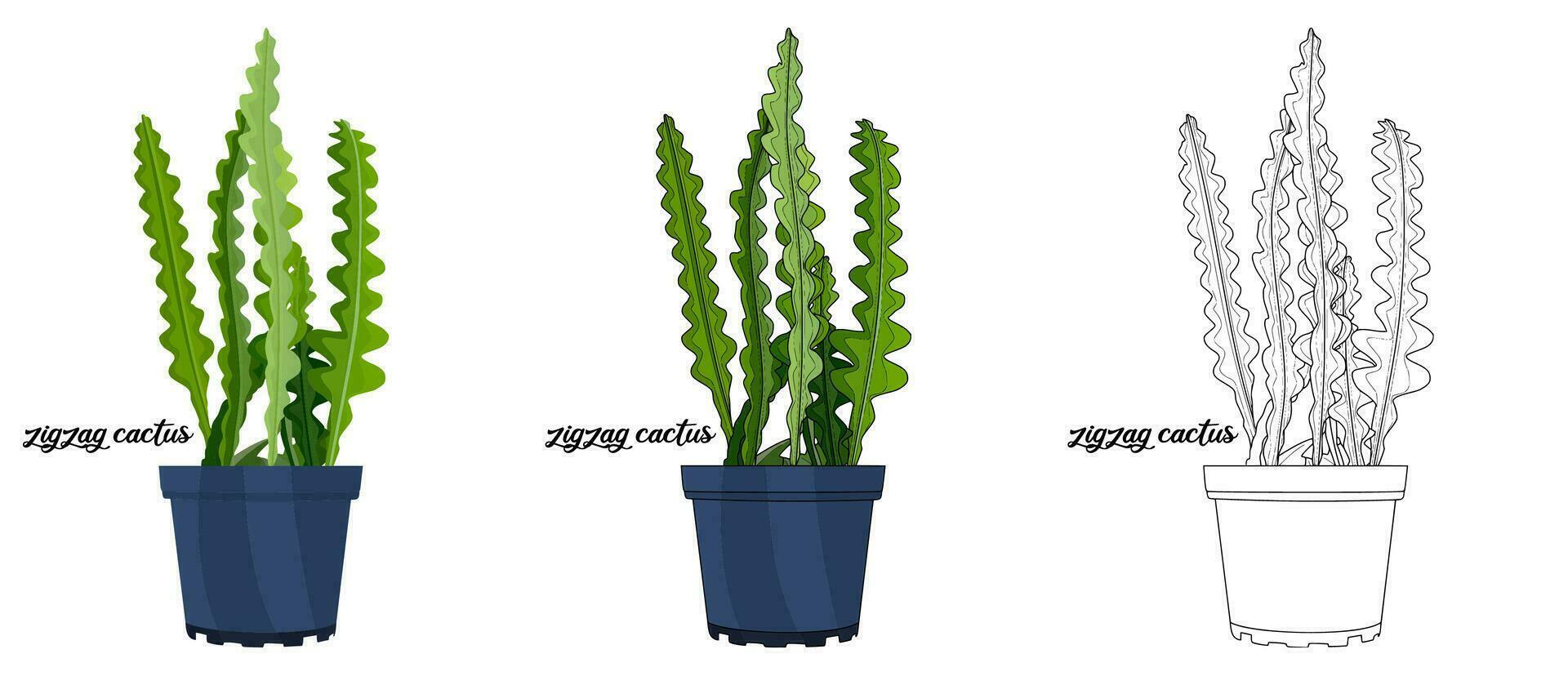 House plant coloring book hand drawn illustration vector