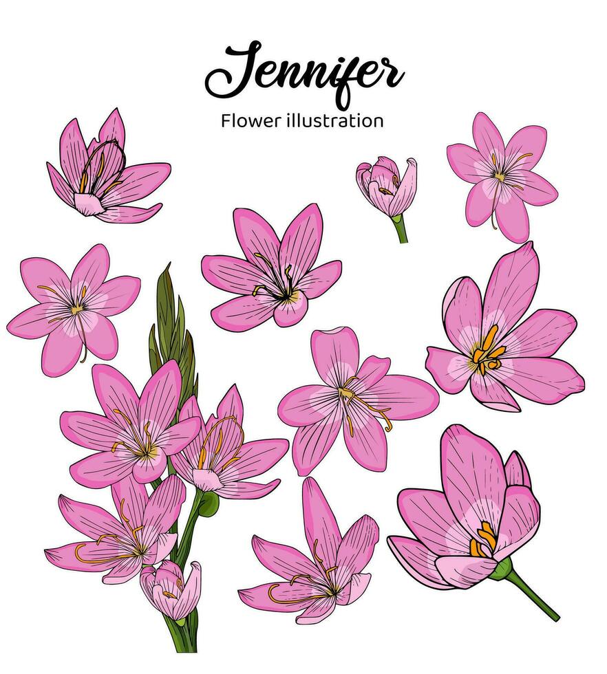 Flowers Coloring Book Hand Drawn Illustration vector