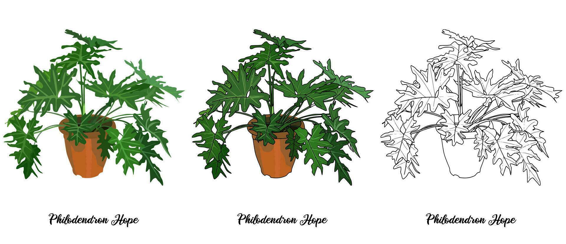 House plant coloring book hand drawn illustration vector