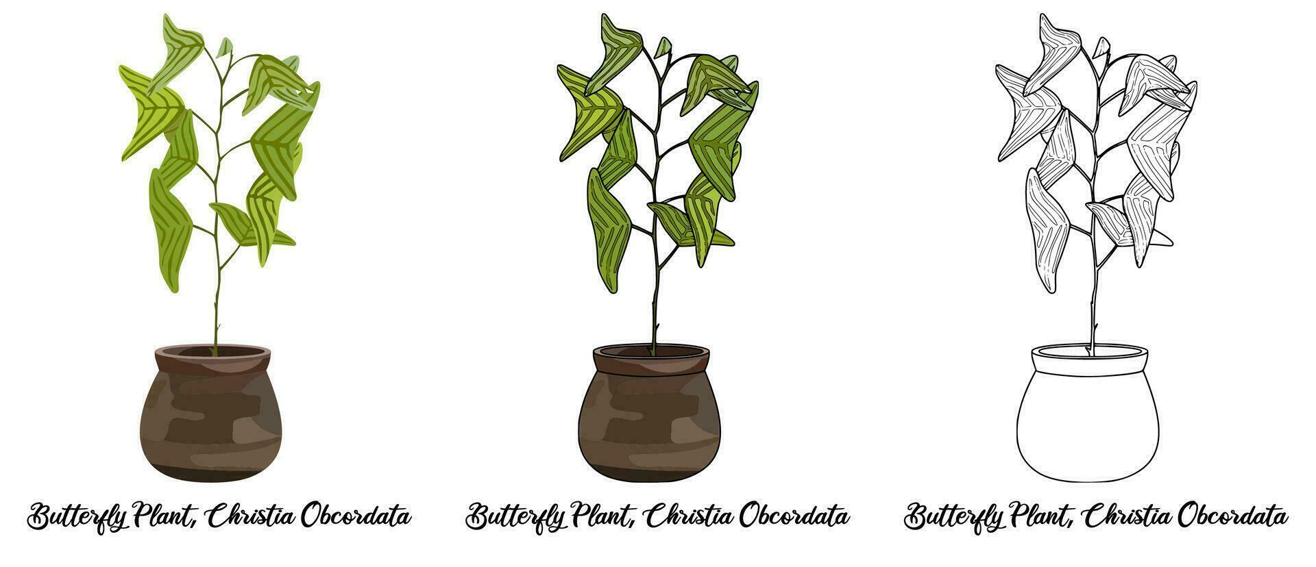 House plant coloring book hand drawn illustration vector