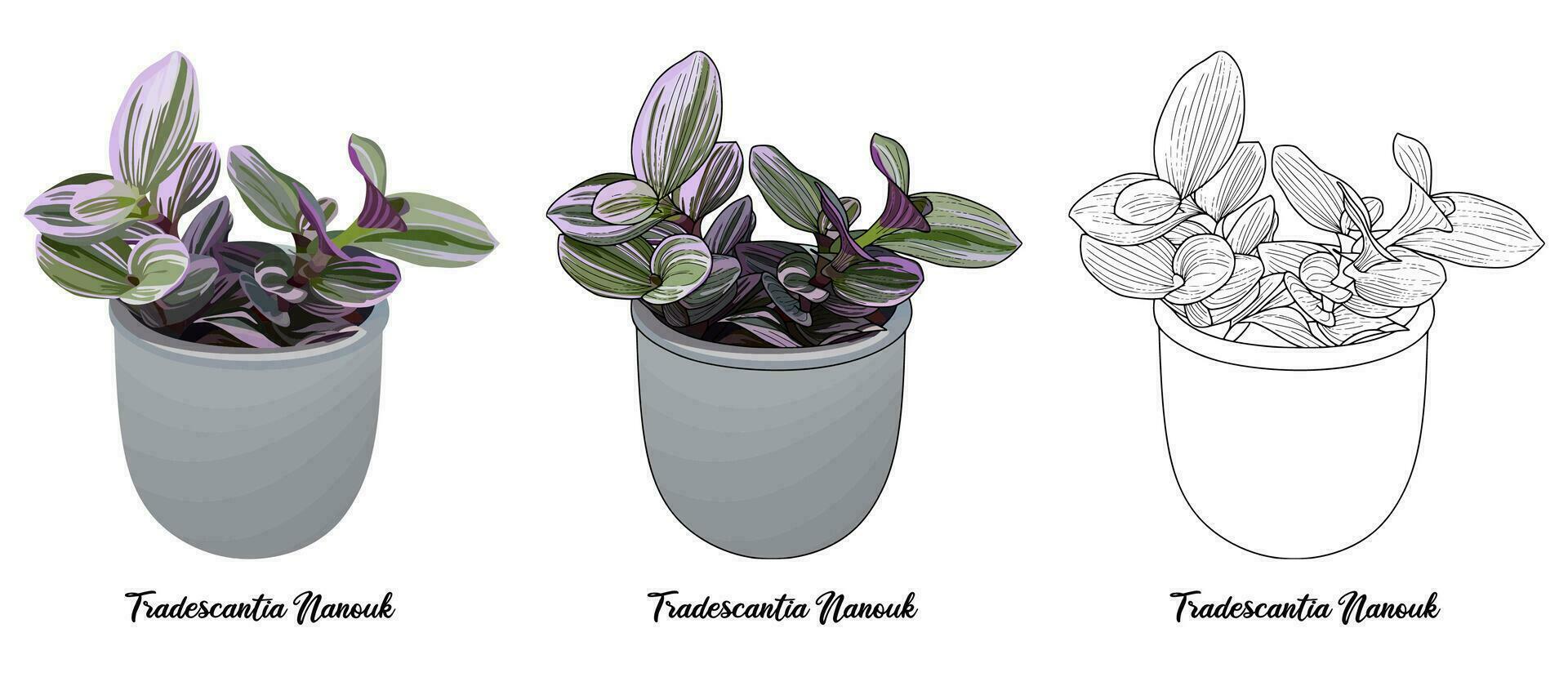 House plant coloring book hand drawn illustration vector