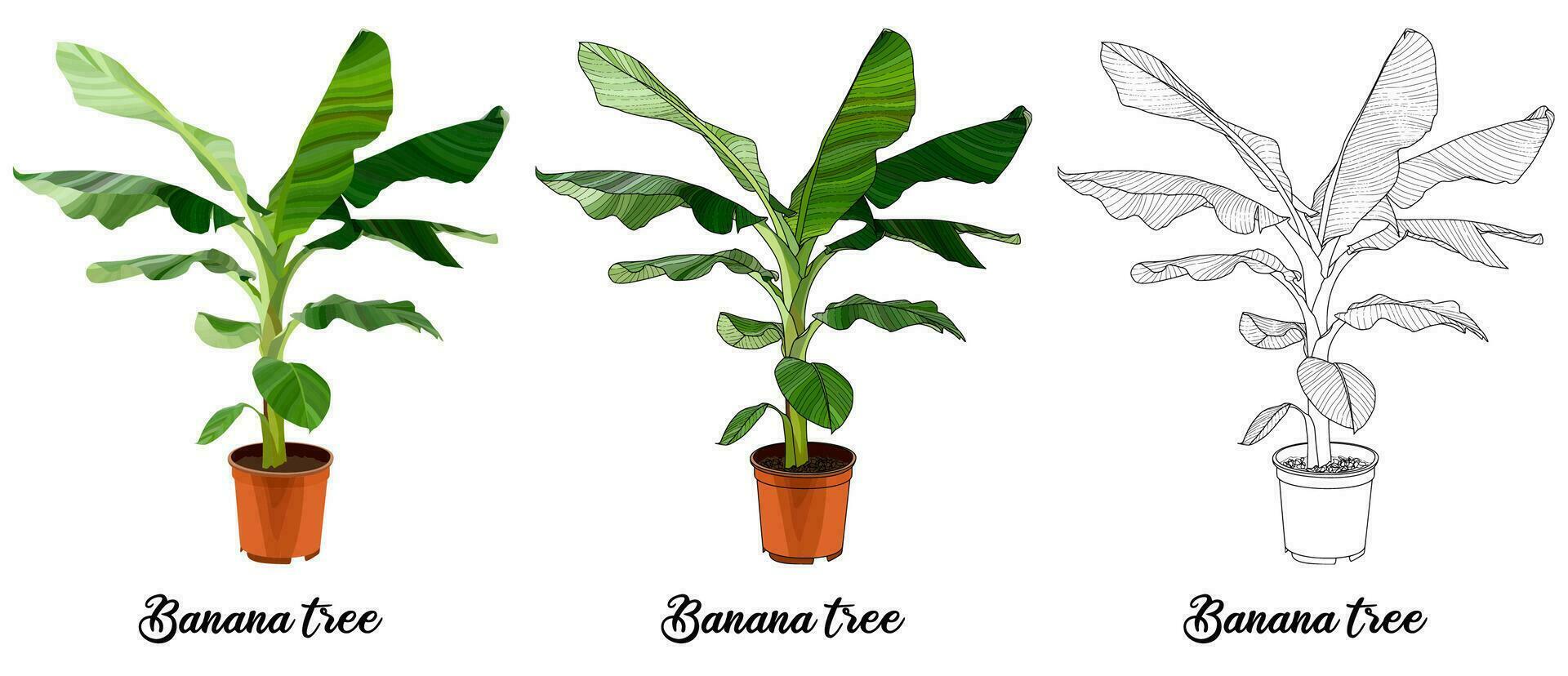 House plant coloring book hand drawn illustration vector