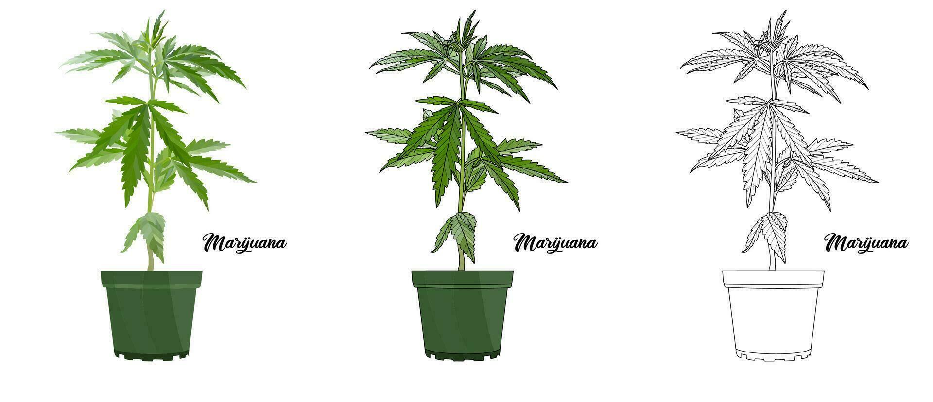 House plant coloring book hand drawn illustration vector