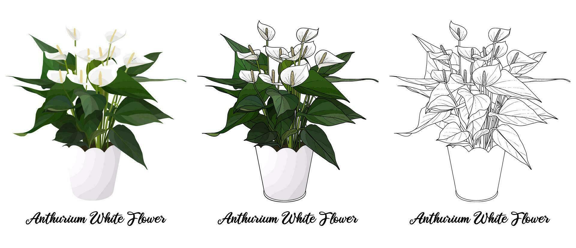 House plant coloring book hand drawn illustration vector
