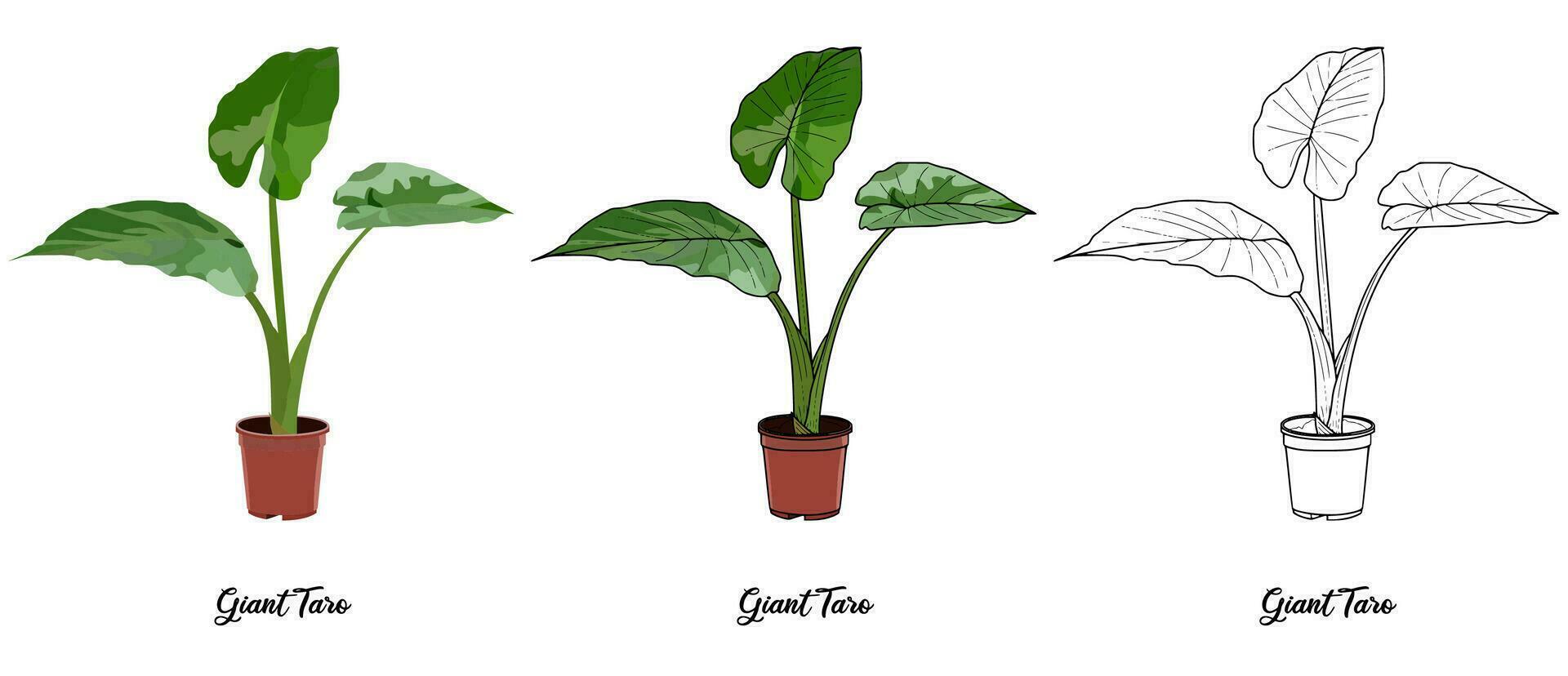 House Plant Coloring Book Hand Drawn Illustration vector
