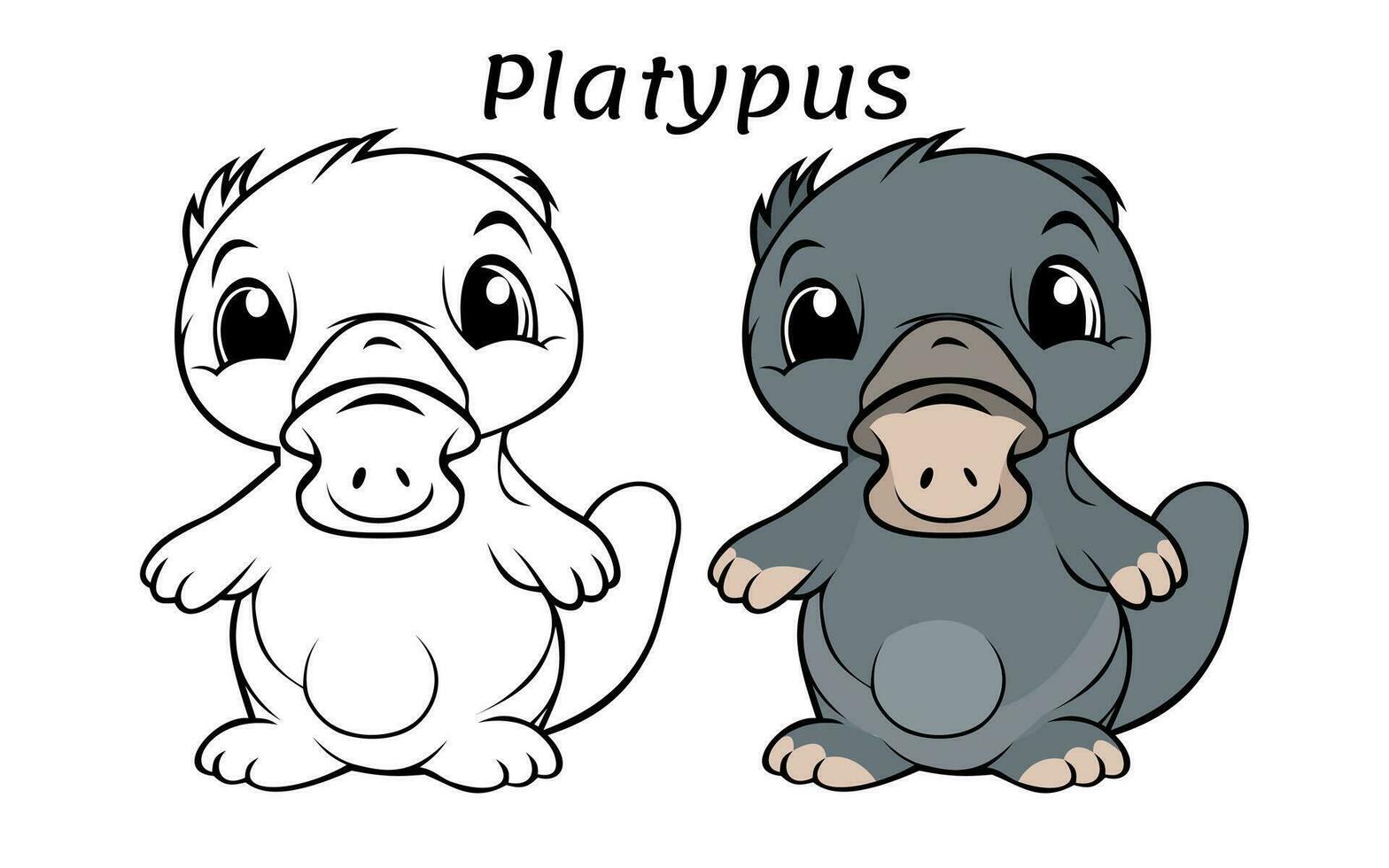 Cute Platypus Animal Coloring Book Illustration vector