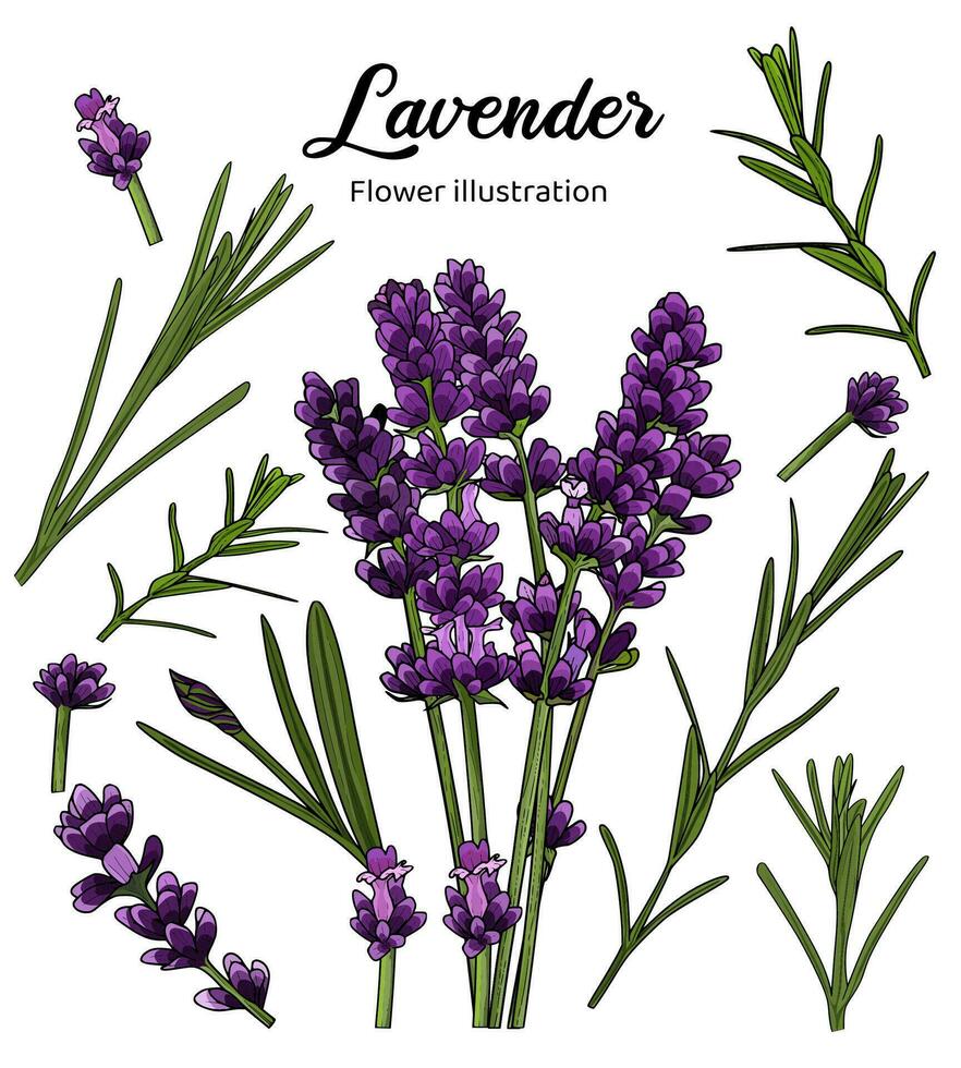 Flowers Coloring Book Hand Drawn Illustration vector