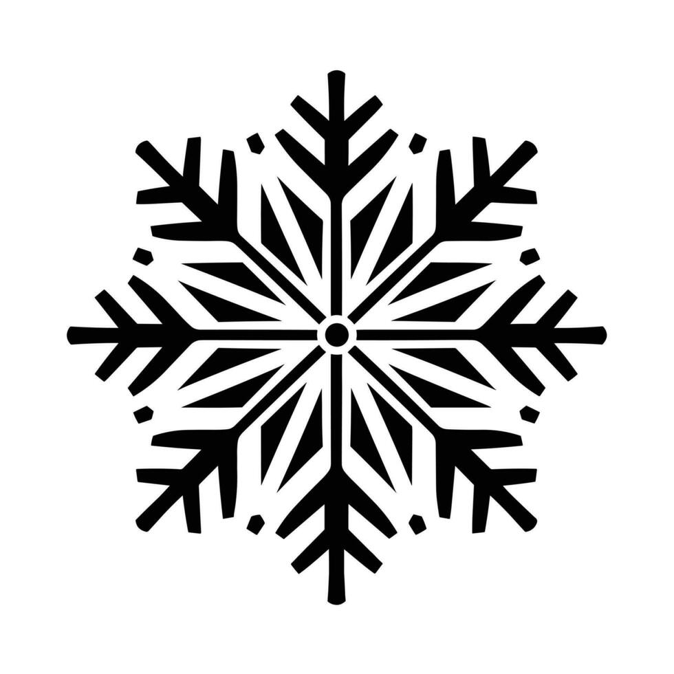 Beautiful Christmas Snowflake vector