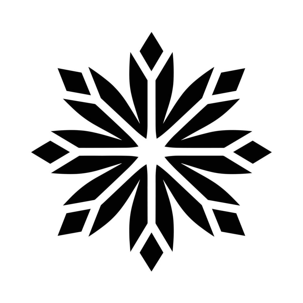 Beautiful Christmas Snowflake vector