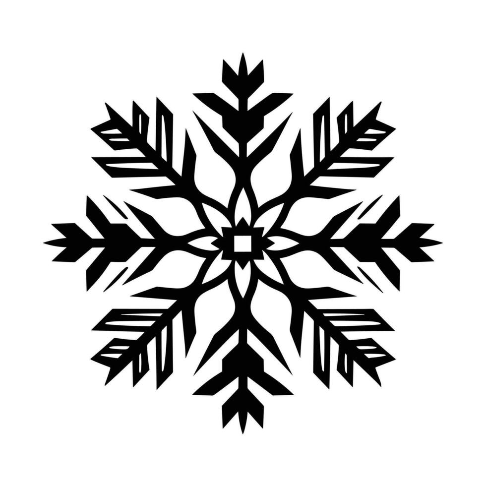 Beautiful Christmas Snowflake vector