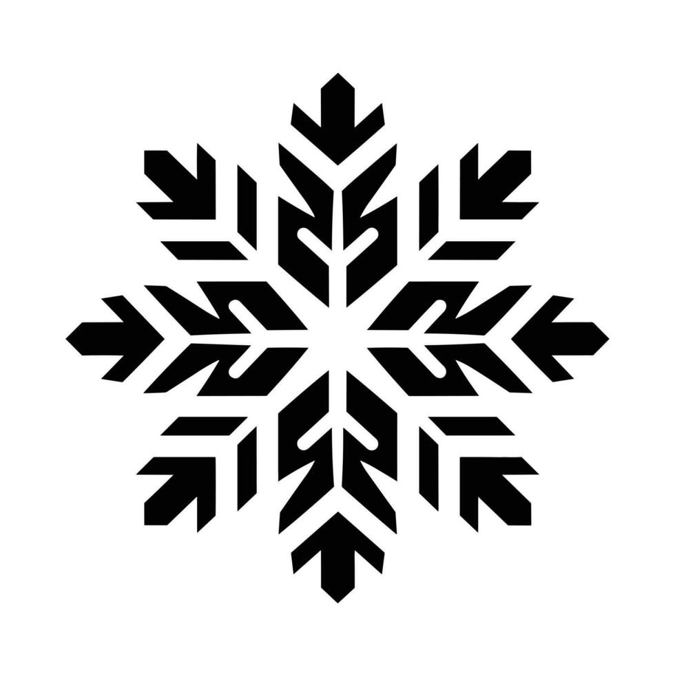 Beautiful Christmas Snowflake vector