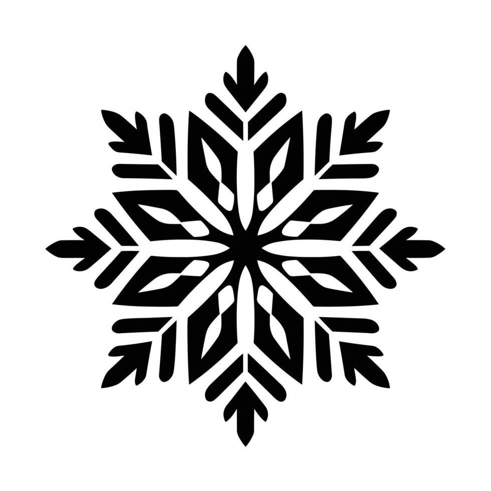 Beautiful Christmas Snowflake vector