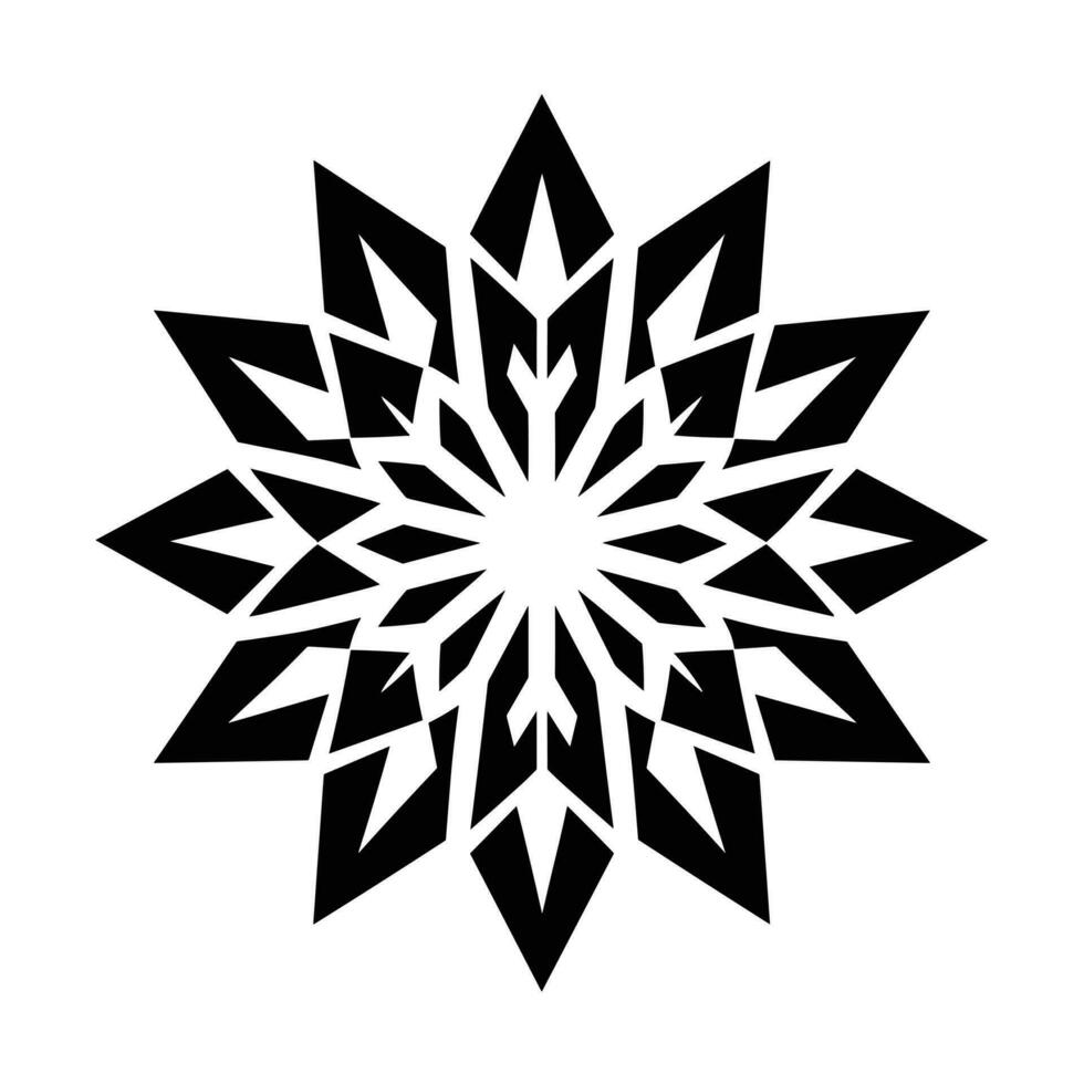 Beautiful Christmas Snowflake vector