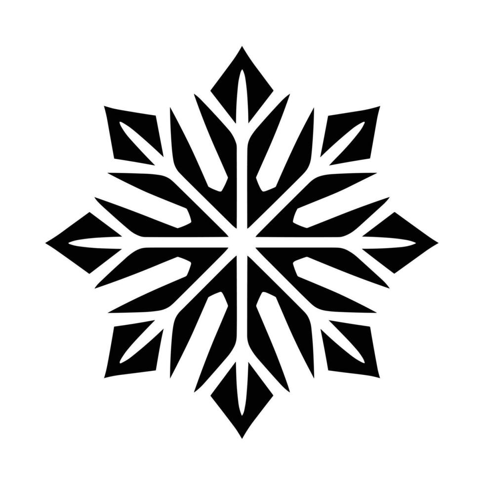 Beautiful Christmas Snowflake vector