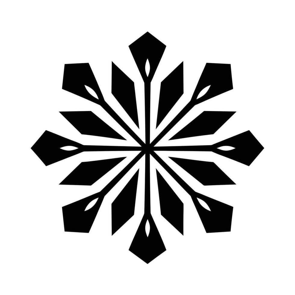 Beautiful Christmas Snowflake vector