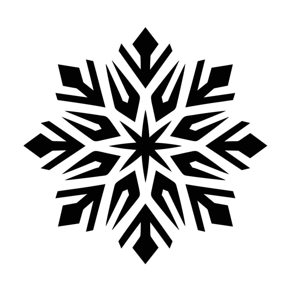Beautiful Christmas Snowflake vector