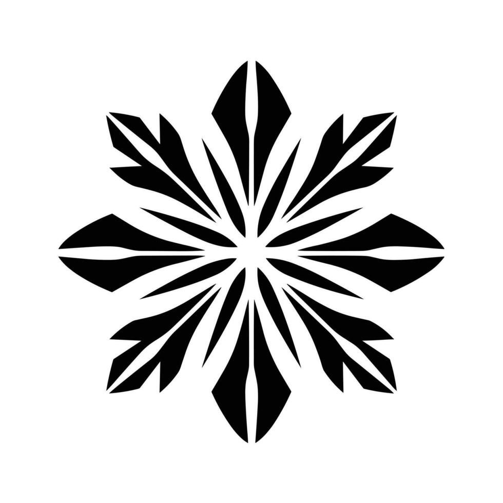 Beautiful Christmas Snowflake vector