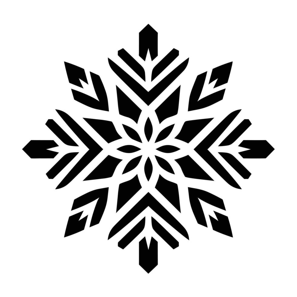 Beautiful Christmas Snowflake vector